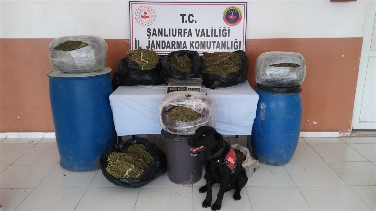 a Şanlıurfa'da 105 kilo 500 gram esrar ele geçirildi