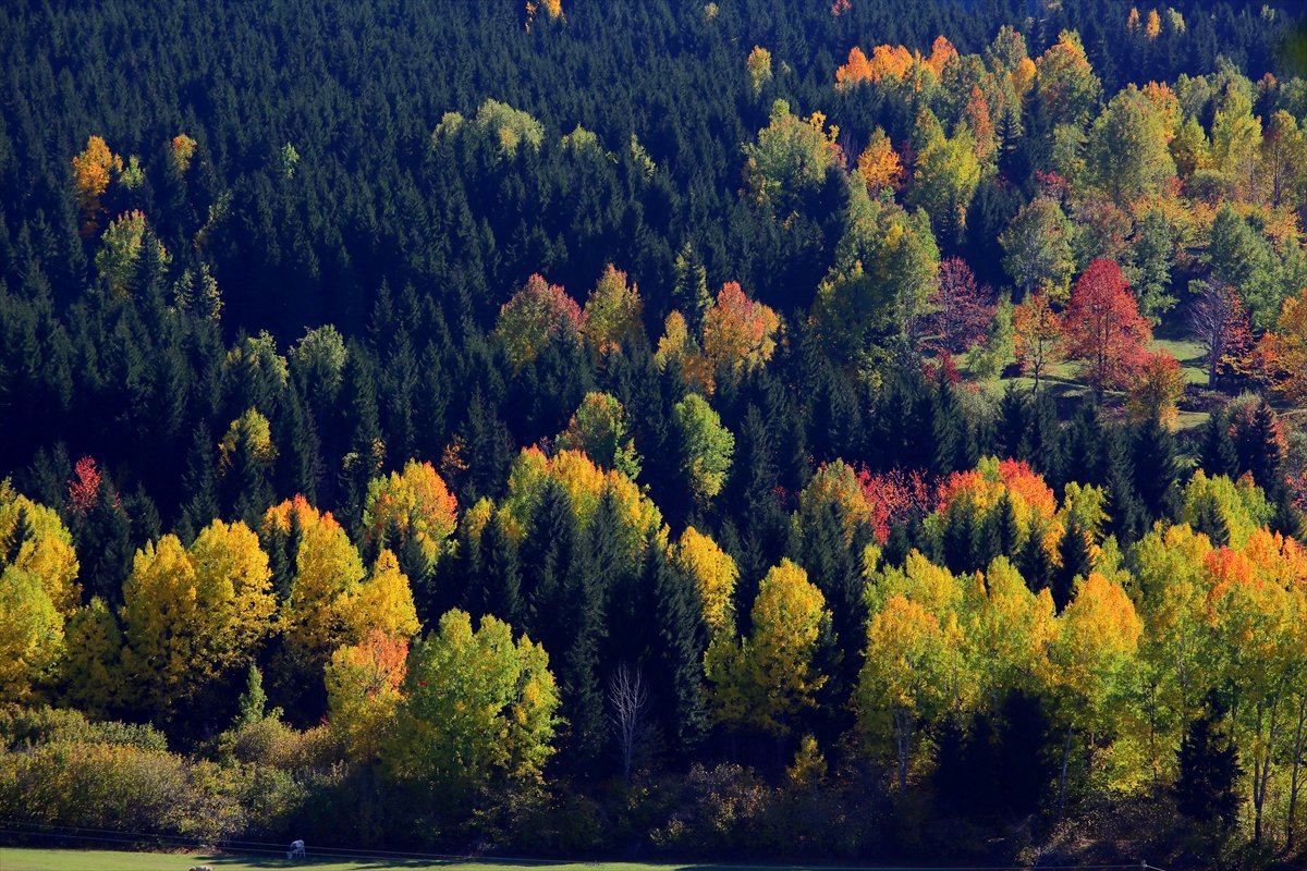 Artvin sonbaharda büyülüyor