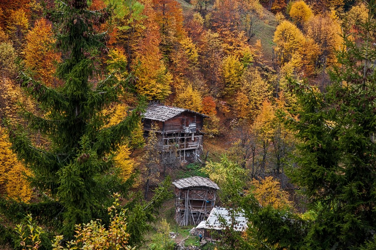 Artvin sonbaharda büyülüyor