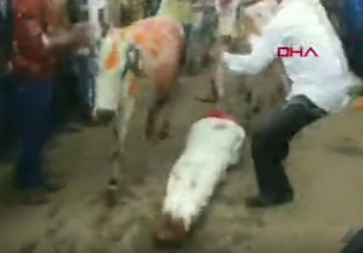 Hindistan'da şans getirsin diye kendilerini ezdirdiler