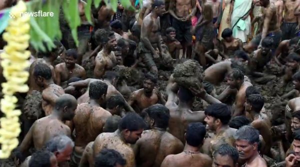 Gübre savaşına giren Hindular