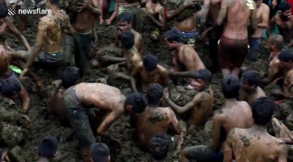 Gübre savaşına giren Hindular