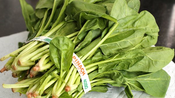 İstanbul'da ıspanaktan zehirlenenlerin sayısı artıyor