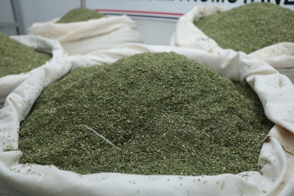 Öğrenci servisinden 176 kilo esrar çıktı