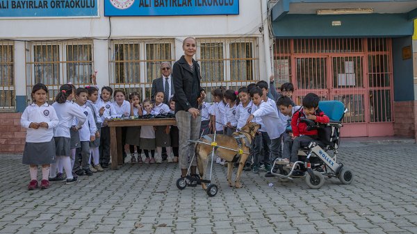 a Mehmet öğretmen, sakat hayvanlar için protez yapıyor
