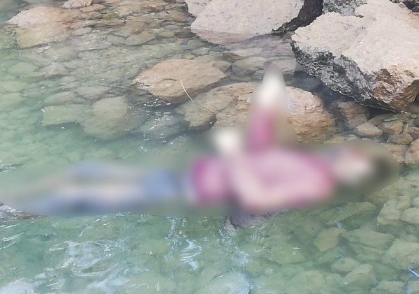 i Tekne turu yapan turistler ceset gördü