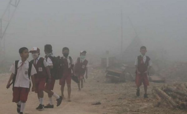 11 bin bilim insanı uyarıyor: Küresel felaket yakın