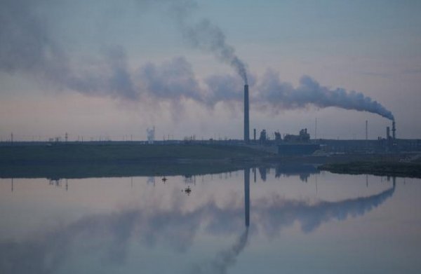 11 bin bilim insanı uyarıyor: Küresel felaket yakın
