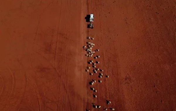 11 bin bilim insanı uyarıyor: Küresel felaket yakın