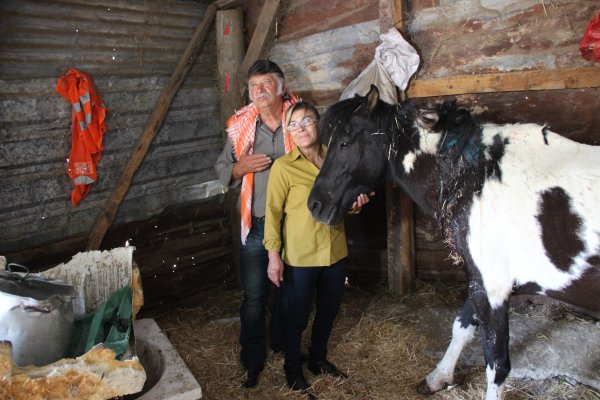 İzmir'de ata silahlı saldırı