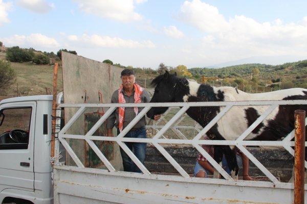 İzmir'de ata silahlı saldırı