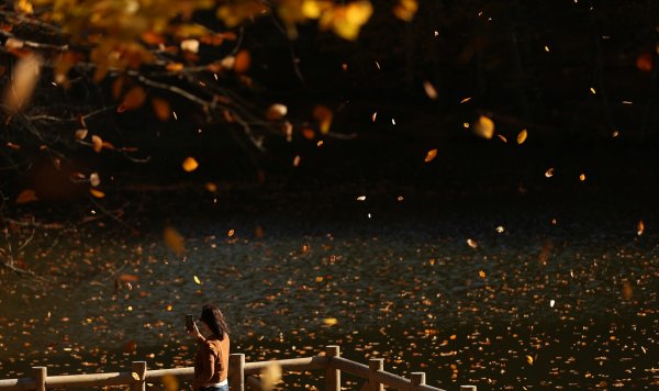 Bolu ve Düzce'den tadına doyulmaz sonbahar manzaraları