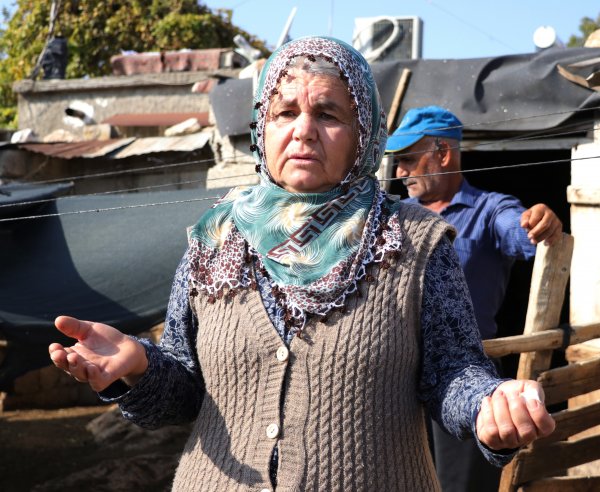 i Adana'da 40 koyunu çalınan Ayşe Teyze hırsızlara yalvardı