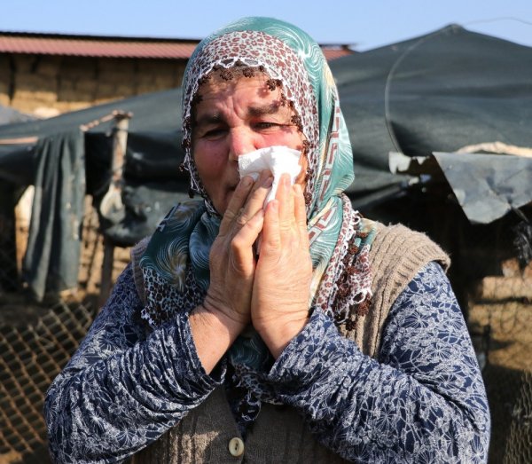 i Adana'da 40 koyunu çalınan Ayşe Teyze hırsızlara yalvardı