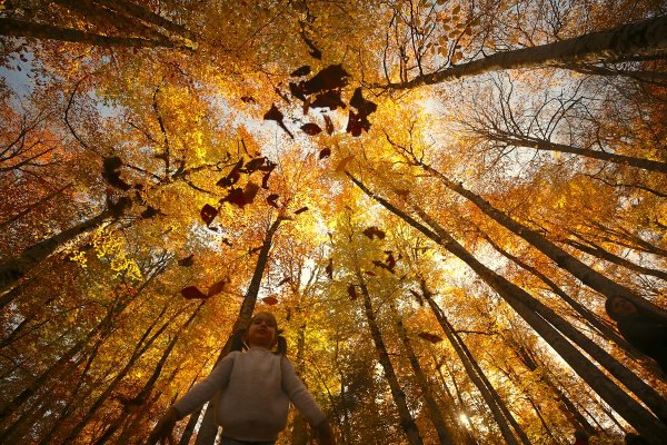 Bolu ve Düzce'den tadına doyulmaz sonbahar manzaraları