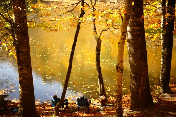 Bolu ve Düzce'den tadına doyulmaz sonbahar manzaraları