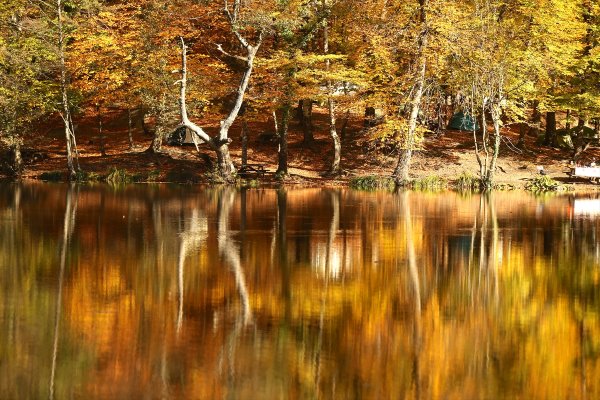 Bolu ve Düzce'den tadına doyulmaz sonbahar manzaraları
