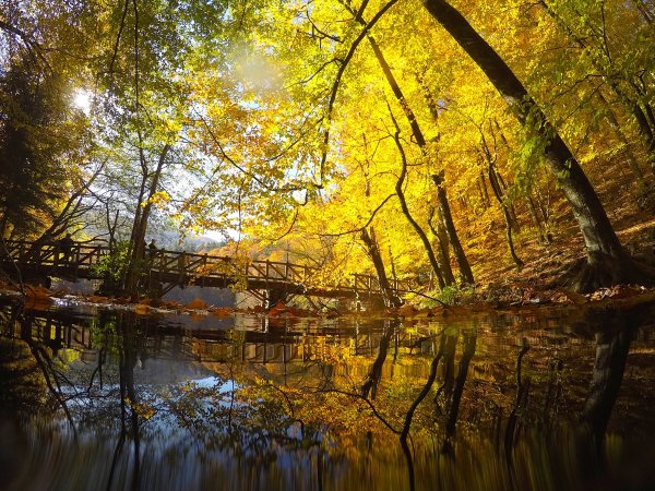 Bolu ve Düzce'den tadına doyulmaz sonbahar manzaraları