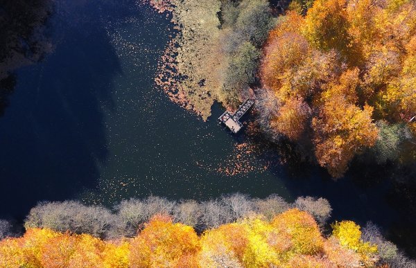Bolu ve Düzce'den tadına doyulmaz sonbahar manzaraları