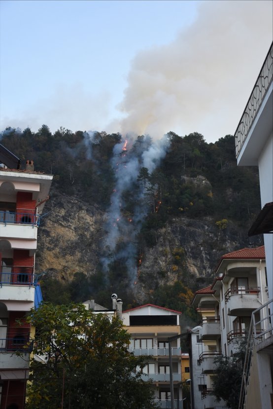 Bartın'da orman yangını