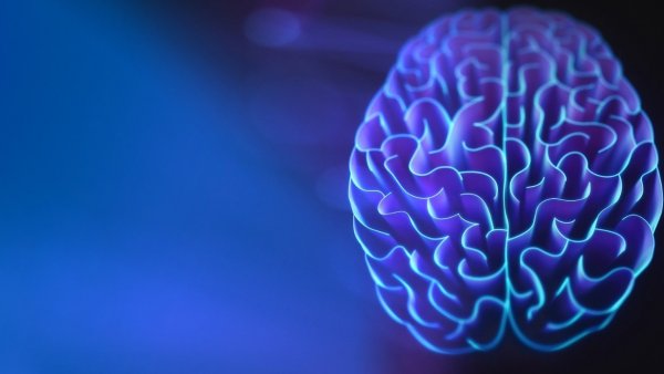 Yapay zeka EKG ile bir yıl içinde ölecekleri tahmin etti