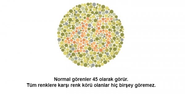 Renk körü olanların polis olamayacağı kesinleşti