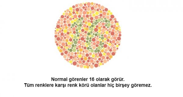 Renk körü olanların polis olamayacağı kesinleşti