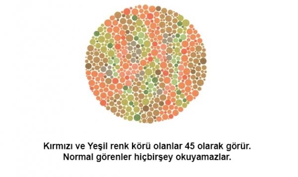 Renk körü olanların polis olamayacağı kesinleşti