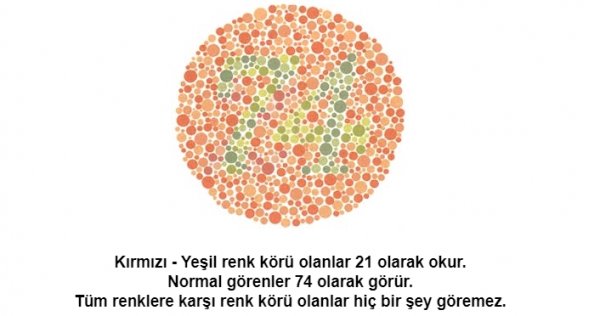 Renk körü olanların polis olamayacağı kesinleşti