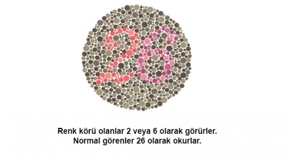 Renk körü olanların polis olamayacağı kesinleşti