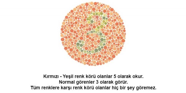 Renk körü olanların polis olamayacağı kesinleşti