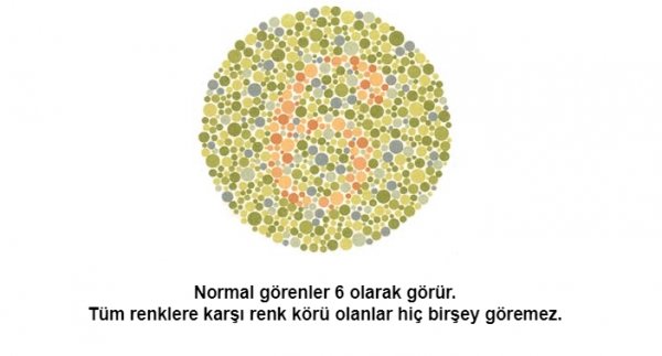 Renk körü olanların polis olamayacağı kesinleşti