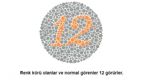 Renk körü olanların polis olamayacağı kesinleşti