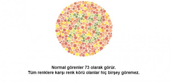 Renk körü olanların polis olamayacağı kesinleşti