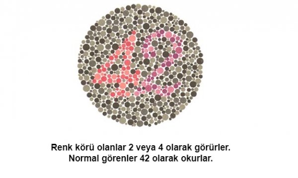 Renk körü olanların polis olamayacağı kesinleşti