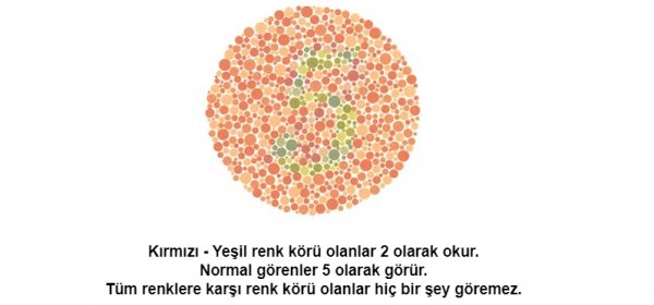 Renk körü olanların polis olamayacağı kesinleşti