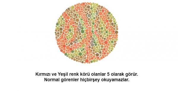 Renk körü olanların polis olamayacağı kesinleşti