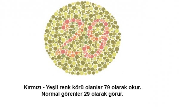 Renk körü olanların polis olamayacağı kesinleşti