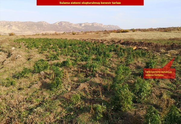 Diyarbakır Lice'de 5 ton esrar yakalandı