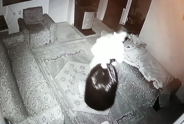 i Görme engelli çocuğa bakıcı kadından darp