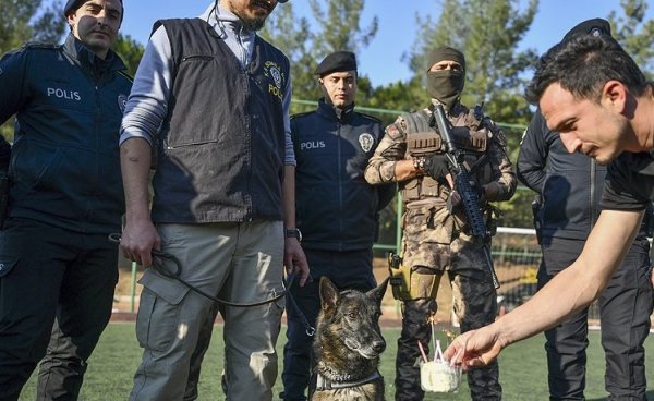 a Emniyet müdürlüğünden dedektör köpeğe emeklilik partisi