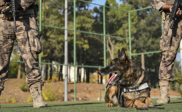 a Emniyet müdürlüğünden dedektör köpeğe emeklilik partisi
