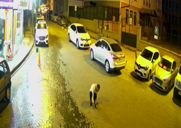 Hayatını kurtaran şahsı tırmalayan kedi