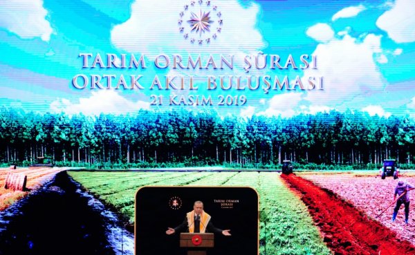Cumhurbaşkanı, Tarım Orman Şurası'ndan alınan kararları açıkladı
