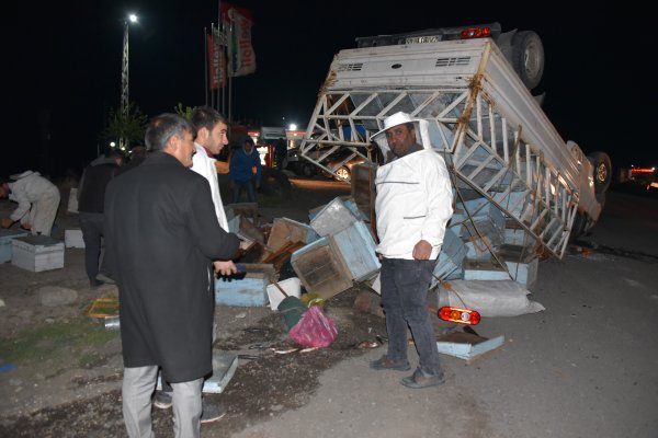 Şanlıurfa'da arı kovanları taşıyan kamyonet tırla çarpıştı