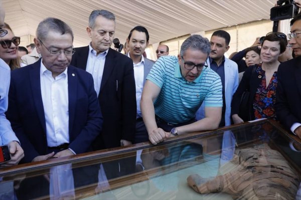 a Mısır'da kedi mumyası bulundu