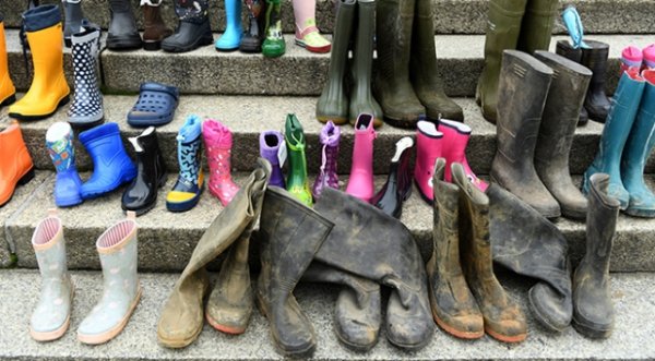 Almanya'da çiftçiler tarım politikasını protesto etti