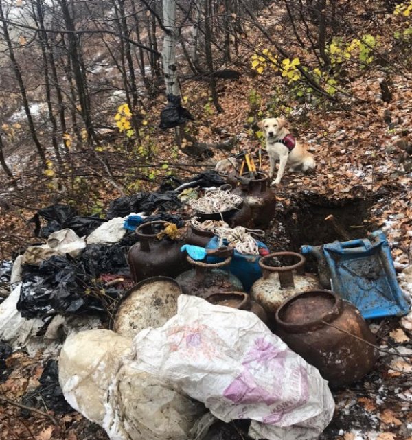 i Bitlis'te 300 kilo EYP imha edildi