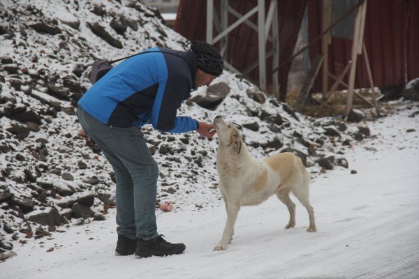 a Uludağ'da kar yağışı başladı