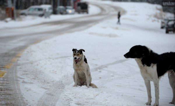 i Uludağ'da kar yağışı başladı
